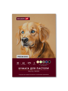 Бумага для пастели ФАКТУРНАЯ, А3, в папке, 20 листов, 5 цветов, 270 г/м2, BRAUBERG ART, 117756