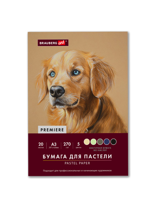 Бумага для пастели ФАКТУРНАЯ, А3, в папке, 20 листов, 5 цветов, 270 г/м2, BRAUBERG ART, 117756