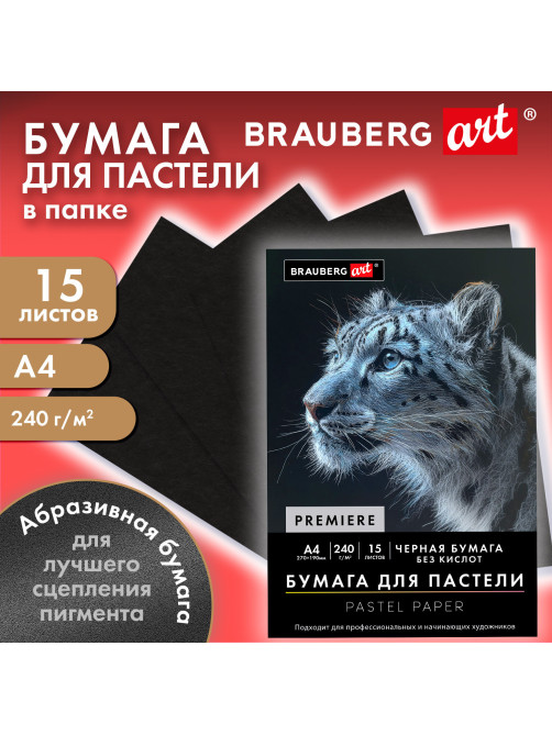 Бумага для пастели АБРАЗИВНАЯ А4 в папке, 15 листов, ЧЕРНАЯ, 240 г/м2, BRAUBERG ART, 117765