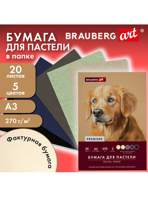 Бумага для пастели ФАКТУРНАЯ, А3, в папке, 20 листов, 5 цветов, 270 г/м2, BRAUBERG ART, 117756