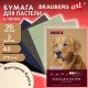 Бумага для пастели ФАКТУРНАЯ, А3, в папке, 20 листов, 5 цветов, 270 г/м2, BRAUBERG ART, 117756
