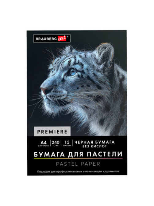 Бумага для пастели АБРАЗИВНАЯ А4 в папке, 15 листов, ЧЕРНАЯ, 240 г/м2, BRAUBERG ART, 117765