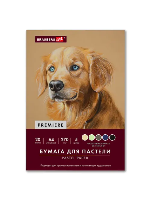 Бумага для пастели ФАКТУРНАЯ, А4, в папке, 20 листов, 5 цветов, 270 г/м2, BRAUBERG ART, 117755