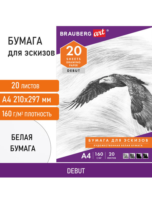 Папка для рисования А4, 20 л., 160 г/м2, BRAUBERG, 210х297 мм, 