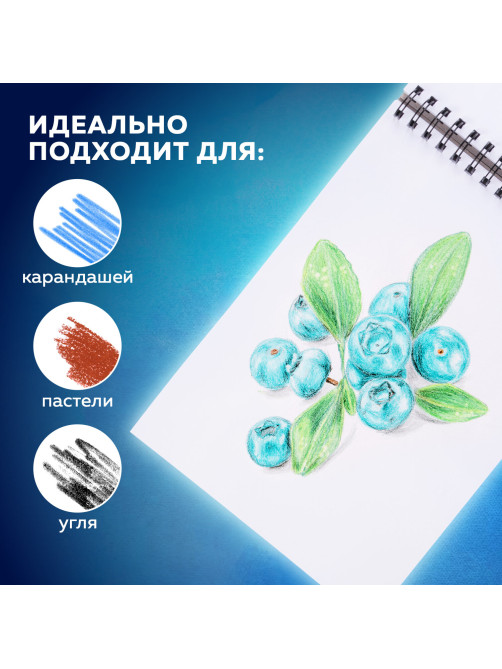 Скетчбук, белая бумага 190 г/м2, 297х210 мм, 60 л., гребень, твердая обложка, BRAUBERG ART CLASSIC, 113853