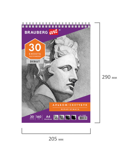 Скетчбук, белая бумага 160 г/м2, 205х290 мм, 30 л., гребень, жёсткая подложка, BRAUBERG ART DEBUT, 110985