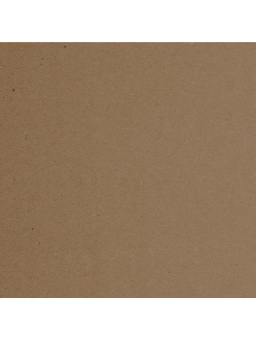 Крафт-бумага для графики, эскизов А4(210х297мм), 160г/м2, 100л, BRAUBERG ART CLASSIC,112487