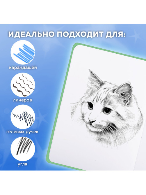Скетчбук, белая бумага 80 г/м2, 145х203 мм, 80 л., резинка, твердый, FUNSTER (ФАНСТЕР), Гусь 