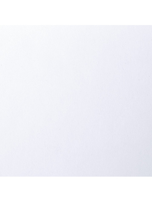 Папка для рисования А4, 20 л., 160 г/м2, BRAUBERG, 210х297 мм, 