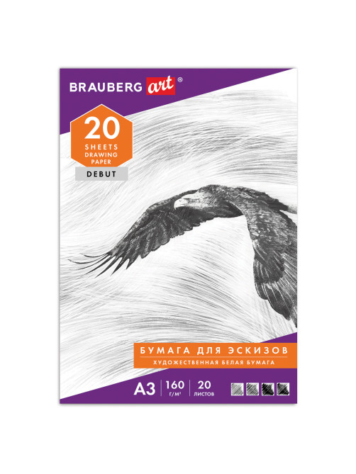 Папка для рисования БОЛЬШОГО ФОРМАТА А3, 20 л., 160 г/м2, BRAUBERG, 297х420 мм, 