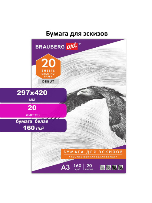 Папка для рисования БОЛЬШОГО ФОРМАТА А3, 20 л., 160 г/м2, BRAUBERG, 297х420 мм, 