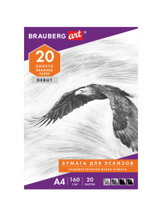 Папка для рисования А4, 20 л., 160 г/м2, BRAUBERG, 210х297 мм, 