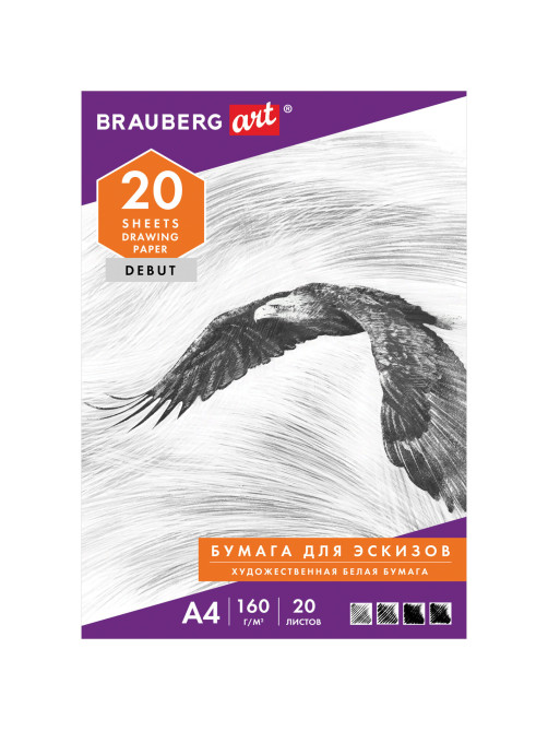 Папка для рисования А4, 20 л., 160 г/м2, BRAUBERG, 210х297 мм, 