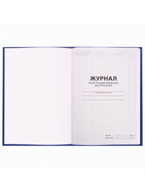 Журнал регистрации вводного инструктажа, 96 л., А4 200х290 мм, бумвинил, офсет BRAUBERG, 130258