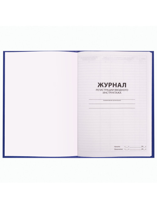 Журнал регистрации вводного инструктажа, 96 л., А4 200х290 мм, бумвинил, офсет BRAUBERG, 130258