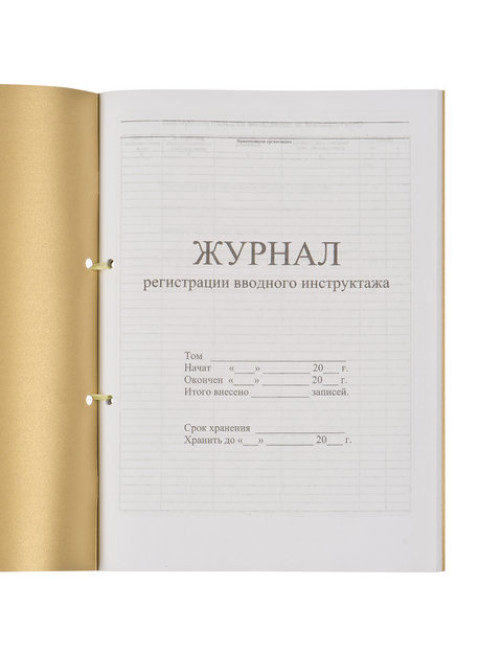 Журнал регистрации вводного инструктажа, 32 л., сшивка, пломба, обложка ПВХ, 130204