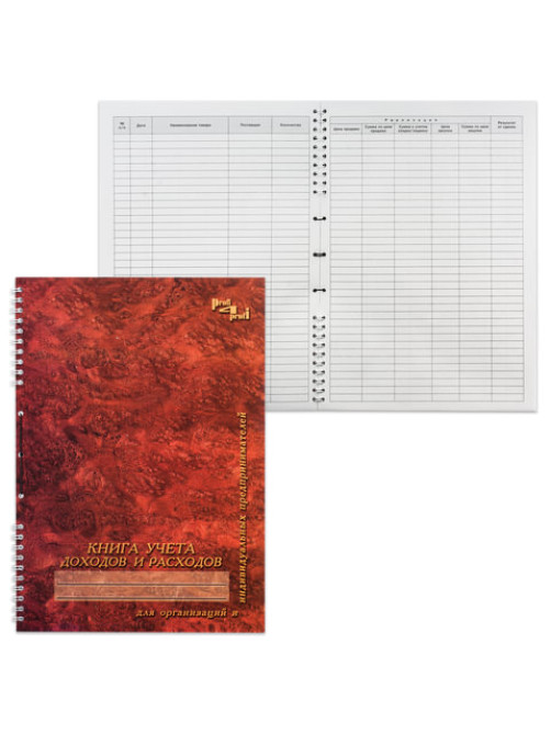 Книга учета доходов и расходов, 50 л., картон, на гребне, А4 (204х290 мм), 13с21-50