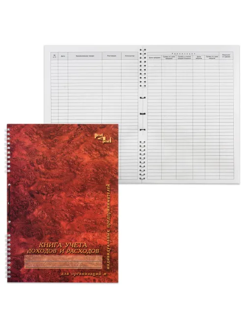 Книга учета доходов и расходов, 50 л., картон, на гребне, А4 (204х290 мм), 13с21-50