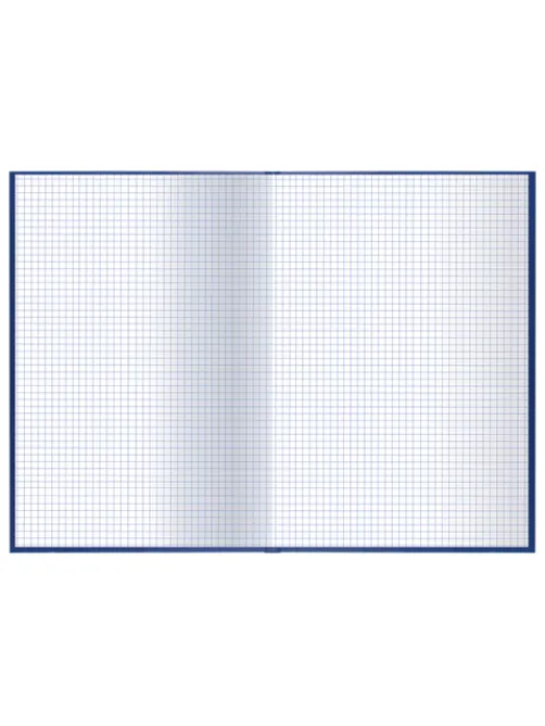Книга учета 96 л., клетка, твердая, бумвинил, офсет, герб, А4 (200х290 мм), BRAUBERG, синяя, 130141