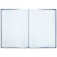 Книга учета 160 л., клетка, твердая, бумвинил, блок офсет, А4 200х290 мм, BRAUBERG, 130182