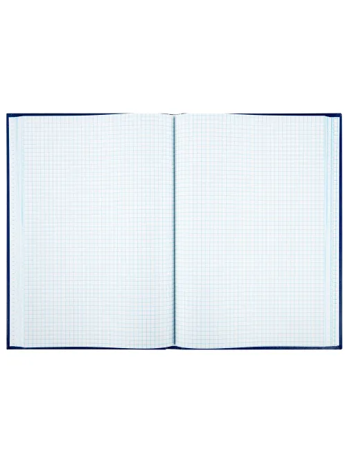 Книга учета 208 л., клетка, твердая, бумвинил, блок офсет, А4 200х290 мм, BRAUBERG, 130184