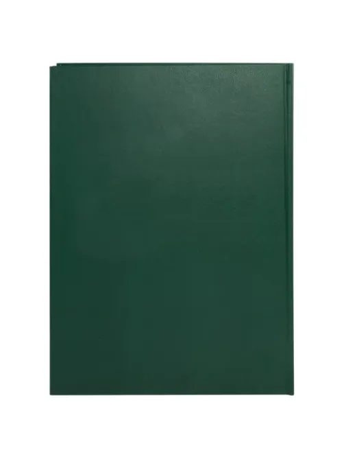 Книга учета 96 л., клетка, твердая, бумвинил, офсет, герб, А4 (200х290 мм), BRAUBERG, зеленая, 130277