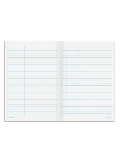 Книга учета 48 л., пустографка, обложка из мелованного картона, блок офсет, А4 200х290 мм, STAFF, 130212