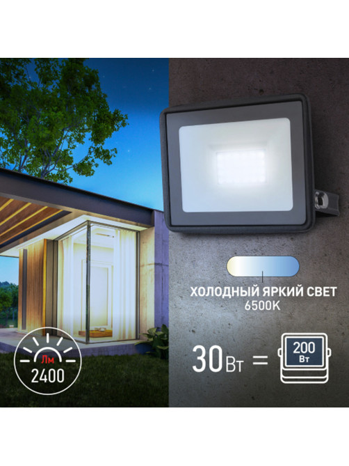Прожектор светодиодный ЭРА, 30 (250) Вт, 6500 К, 2400 Лм, IP65, LPR-023-0-65K-030, Б0052023