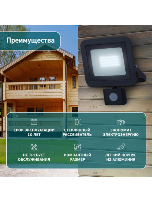 Прожектор светодиодный ЭРА, датчик движения, 20(175) Вт, 6500К, 1600 Лм, IP65, черный, LPR-041-2-65K-020, Б0043585
