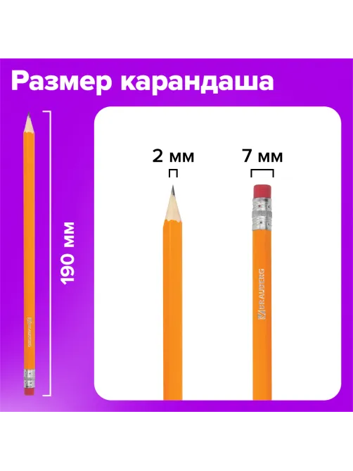 Карандаши чернографитные простые с ластиком HB, ВЫГОДНАЯ УПАКОВКА КОМПЛЕКТ 12 штук, BRAUBERG, 180635