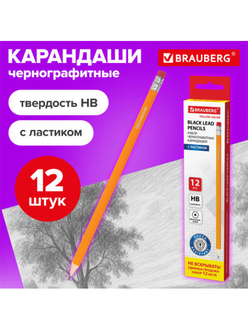 Карандаши чернографитные простые с ластиком HB, ВЫГОДНАЯ УПАКОВКА КОМПЛЕКТ 12 штук, BRAUBERG, 180635