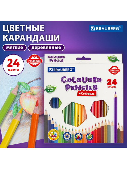 Карандаши цветные BRAUBERG PREMIUM, 24 цвета, шестигранные, грифель 3,3 мм, натуральное дерево, 181658