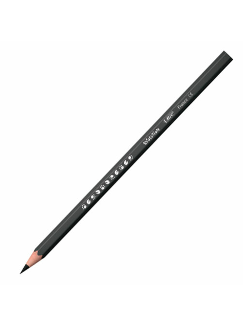 Карандаши цветные BIC 