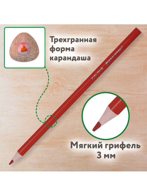 Карандаши цветные BRAUBERG KIDS NEW, 36 цветов, трехгранные, грифель 3 мм, 182003