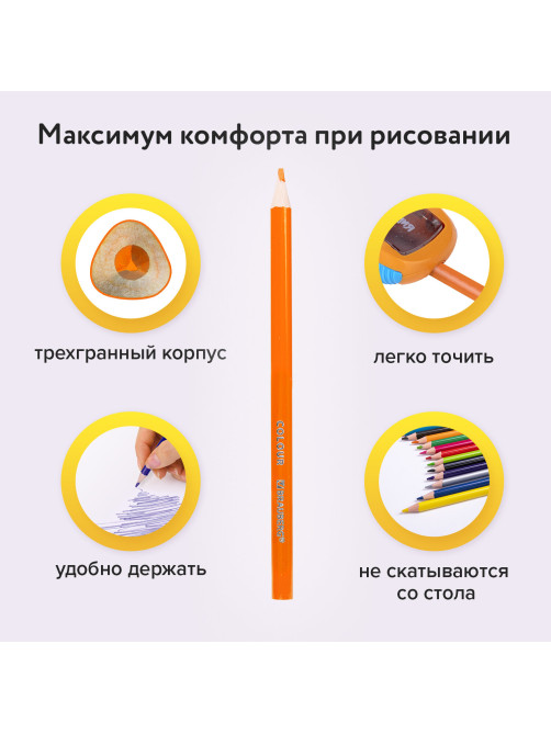 Карандаши цветные BRAUBERG PREMIUM, 24 цвета, трехгранные, грифель 3 мм, 181663