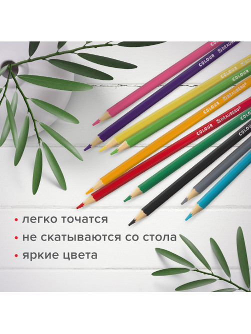 Карандаши цветные мягкие BRAUBERG АКАДЕМИЯ, 18 цветов, шестигранные, грифель 3 мм, натуральное дерево, 181865