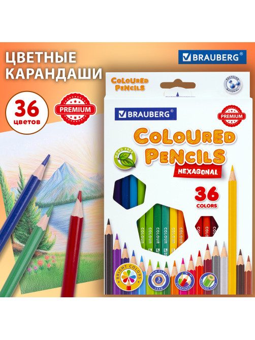 Карандаши цветные BRAUBERG PREMIUM, 36 цветов, шестигранные, грифель 3 мм, 181669