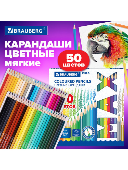 Карандаши цветные супермягкие яркие BRAUBERG MAX, 50 цветов, трехгранные, грифель 3,3 мм, натуральное дерево, 181860