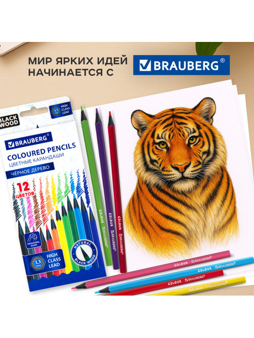 Карандаши цветные BRAUBERG, 12 цветов, шестигранные, грифель 3,3 мм, черное дерево, 181856