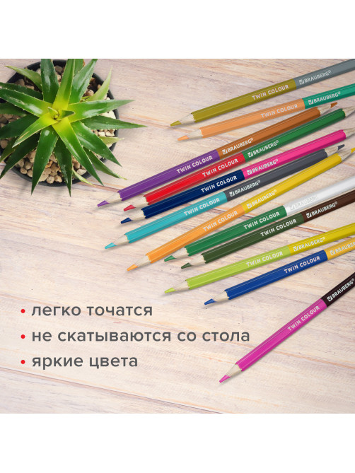Карандаши цветные двусторонние BRAUBERG PREMIUM TWIN COLOUR, 24 штуки, 48 цветов, шестигранные, грифель 3,3 мм, натуральное дерево, 181875