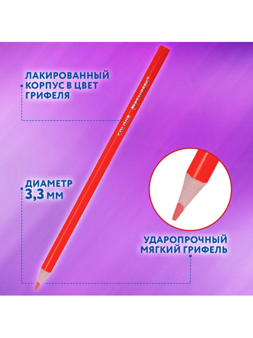 Карандаши цветные BRAUBERG PREMIUM 36 цветов в тубе, трехгранные, грифель 3,3 мм, натуральное дерево, 181934