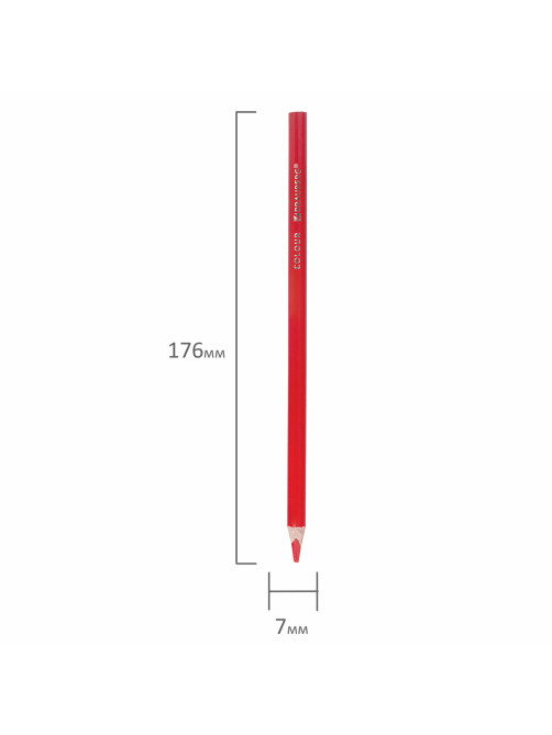 Карандаши цветные BRAUBERG PREMIUM 24 цвета + 2 чернографитных карандаша, трехгранные, грифель 3 мм, 181937