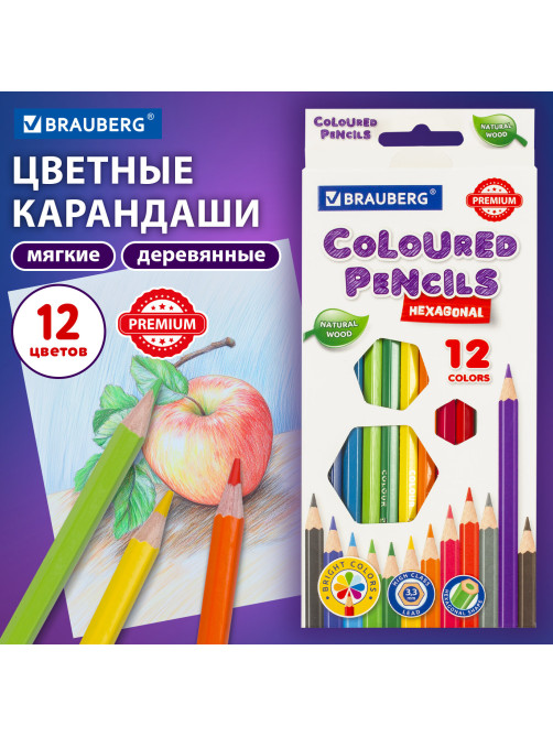 Карандаши цветные BRAUBERG PREMIUM, 12 цветов, шестигранные, грифель 3,3 мм, натуральное дерево, 181656