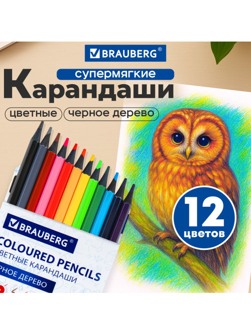 Карандаши цветные BRAUBERG, 12 цветов, шестигранные, грифель 3,3 мм, черное дерево, 181856