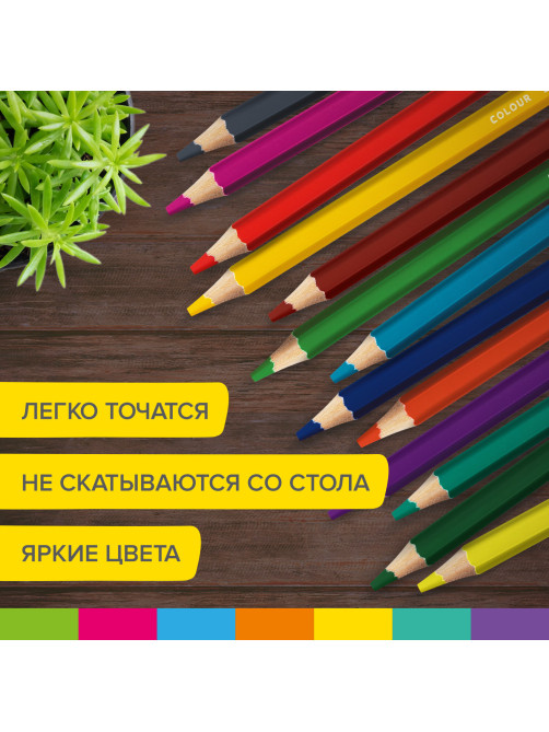 Карандаши цветные утолщенные BRAUBERG KIDS, 12 цветов, шестигранные, грифель 5 мм, натуральное дерево, 181878