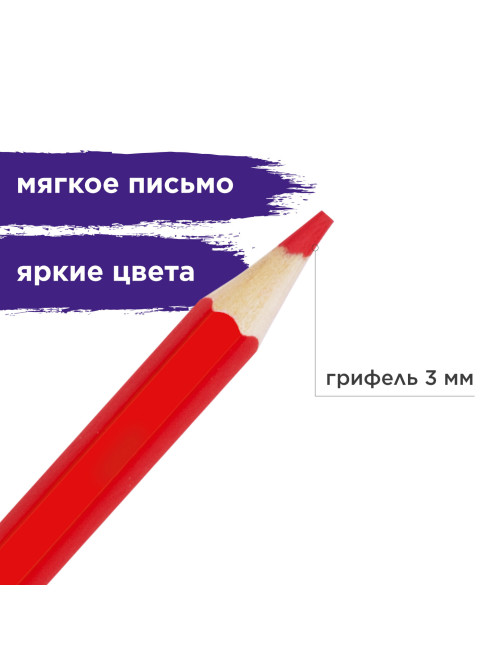 Карандаши цветные акварельные BRAUBERG 