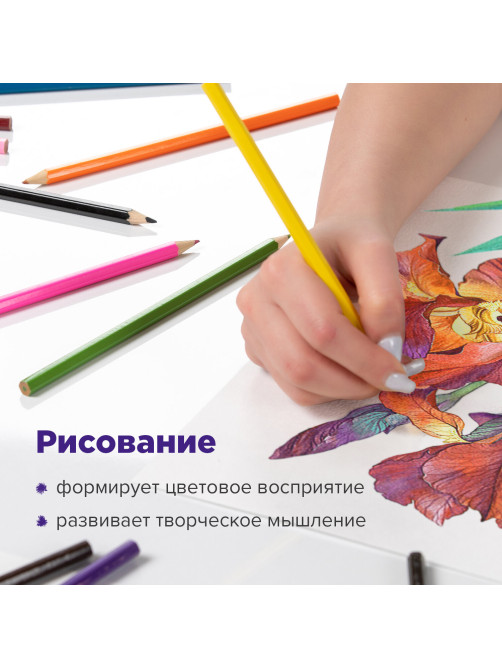 Карандаши цветные акварельные BRAUBERG 