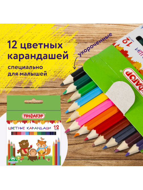 Карандаши цветные ПИФАГОР 
