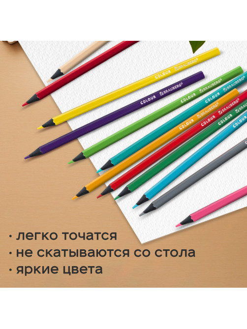 Карандаши цветные BRAUBERG, 24 цвета, шестигранные, грифель 3,3 мм, черное дерево, 181858