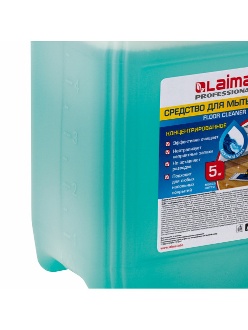Средство для мытья пола 5 кг, LAIMA PROFESSIONAL концентрат, 
